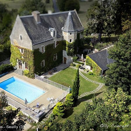 Chinon Manoir De L'Abbaye Bed and Breakfast Seuilly Buitenkant foto