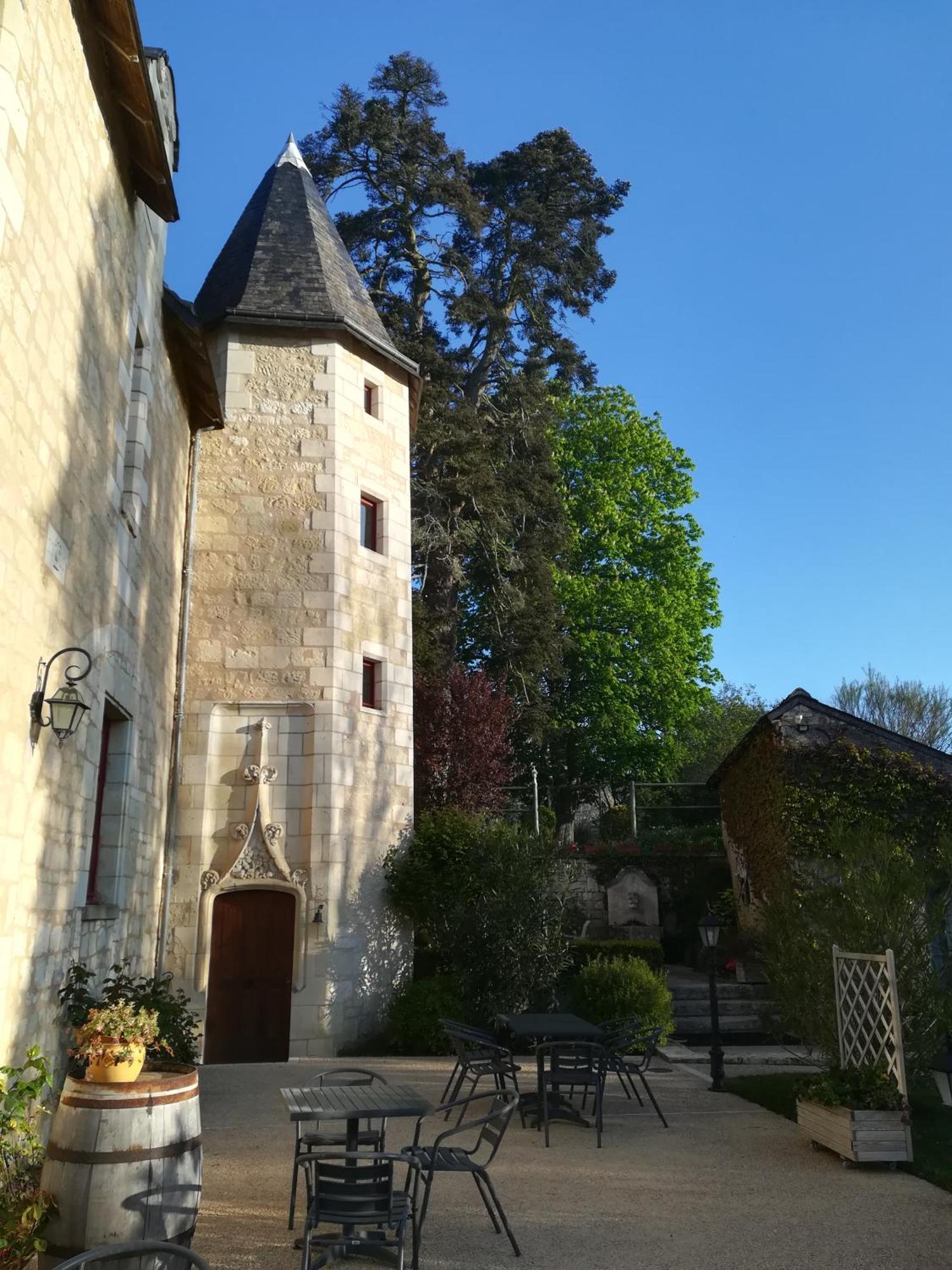 Chinon Manoir De L'Abbaye Bed and Breakfast Seuilly Buitenkant foto