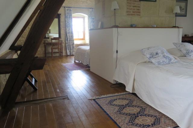 Chinon Manoir De L'Abbaye Bed and Breakfast Seuilly Buitenkant foto