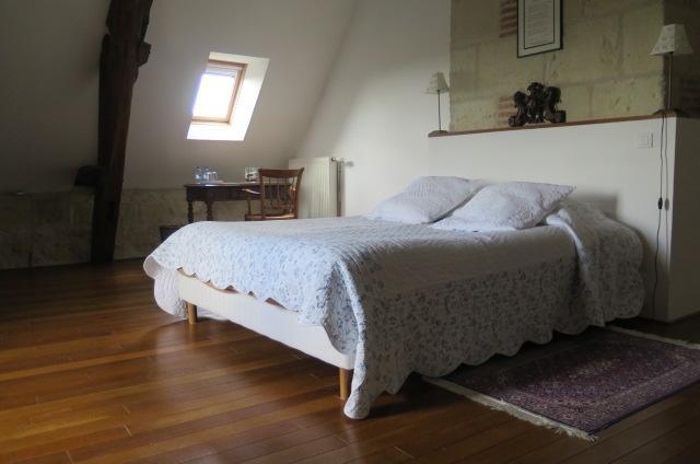 Chinon Manoir De L'Abbaye Bed and Breakfast Seuilly Buitenkant foto